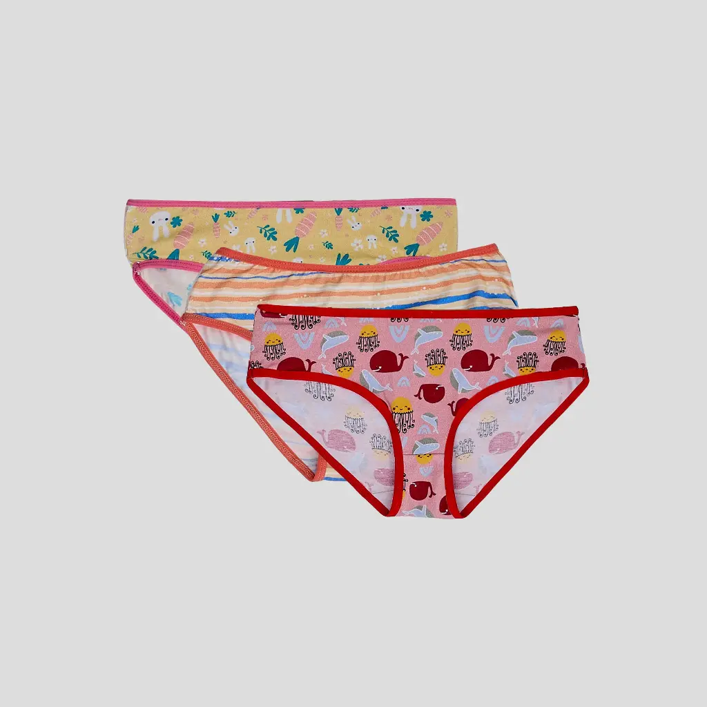 Printed Panties Pack of 33.webp