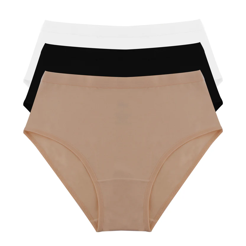 PK 3 Basic Brief