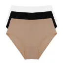PK 3 Basic Brief